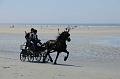 _D3X2193-Marathon des dunes de Fland